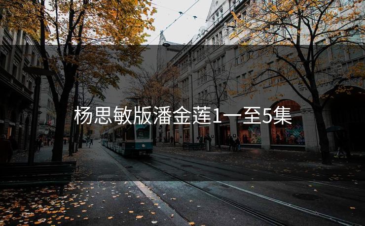 杨思敏版潘金莲1一至5集