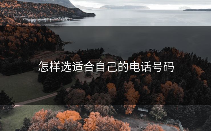 怎样选适合自己的电话号码