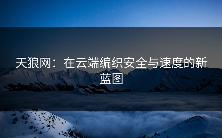 天狼网：在云端编织安全与速度的新蓝图
