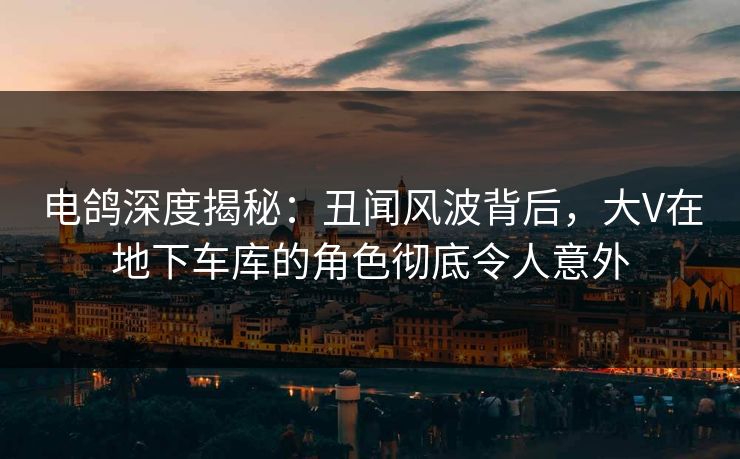 电鸽深度揭秘：丑闻风波背后，大V在地下车库的角色彻底令人意外