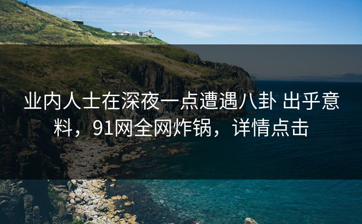 业内人士在深夜一点遭遇八卦 出乎意料，91网全网炸锅，详情点击