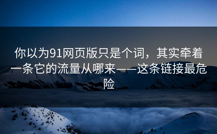 你以为91网页版只是个词，其实牵着一条它的流量从哪来——这条链接最危险