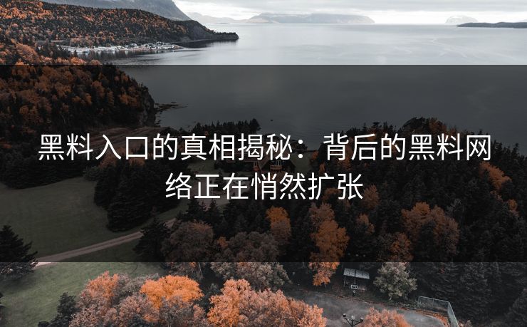 黑料入口的真相揭秘：背后的黑料网络正在悄然扩张