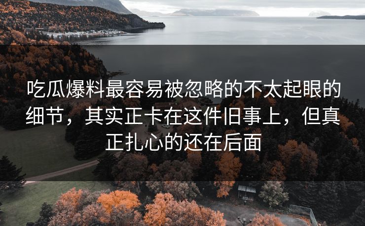 吃瓜爆料最容易被忽略的不太起眼的细节，其实正卡在这件旧事上，但真正扎心的还在后面